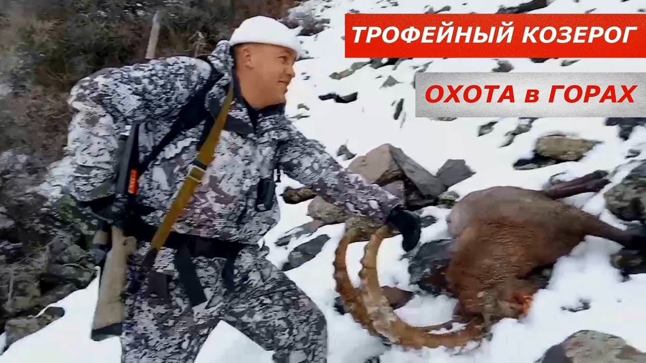 Добыт Трофейный козерог! Тяжелый трудовой трофей. Охота в горах. смотреть онлайн