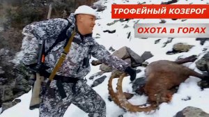 Добыт Трофейный козерог! Тяжелый трудовой трофей. Охота в горах.
