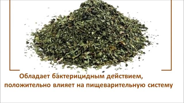 Специи. Специи готовим сами!