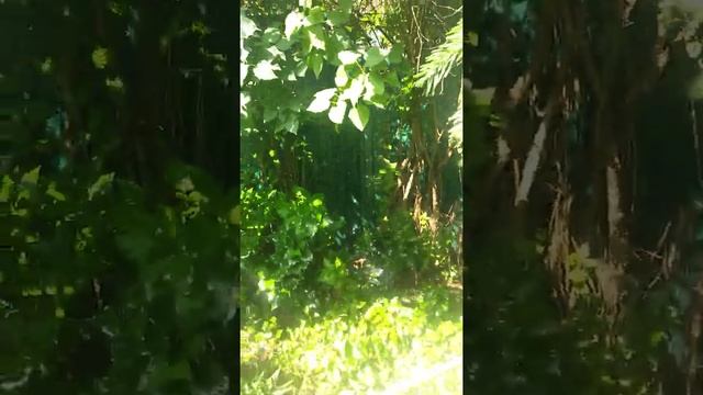 душ на даче радуга своими руками смотреть онлайн