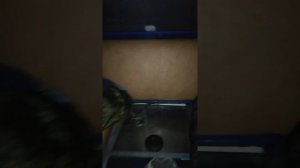 ночуем с сыном в лодке, казанка 5м2