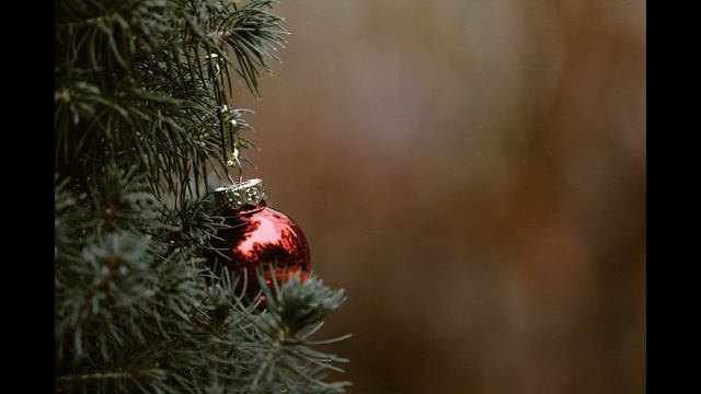 Настрой 20 _Снятие запретов на богатство»