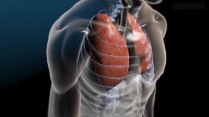 Польза Плавания для Здоровья (10 Причин Начать Плавать)