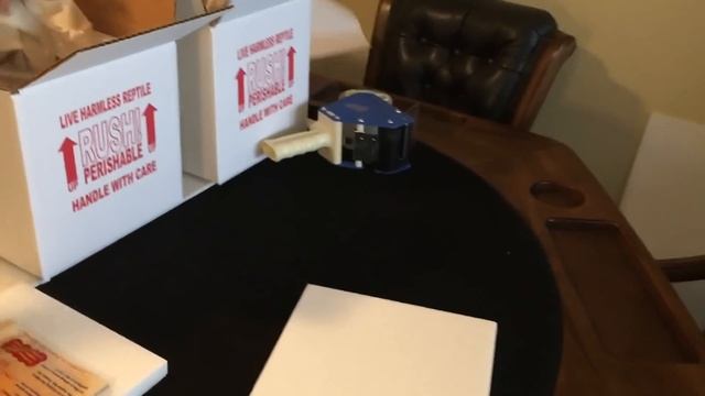 Ball python feeding and packaging contest winners snakes. смотреть онлайн