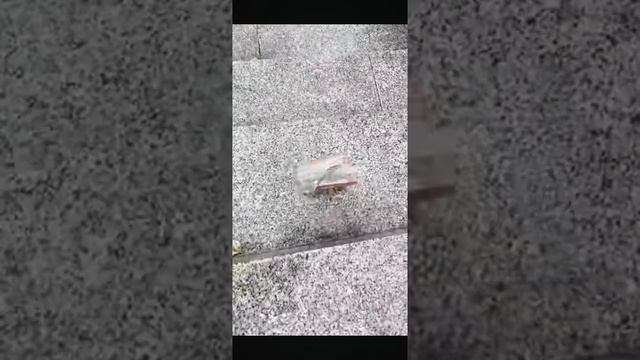 БРЛЬШИЕ БУТЫЛКИ смотреть онлайн