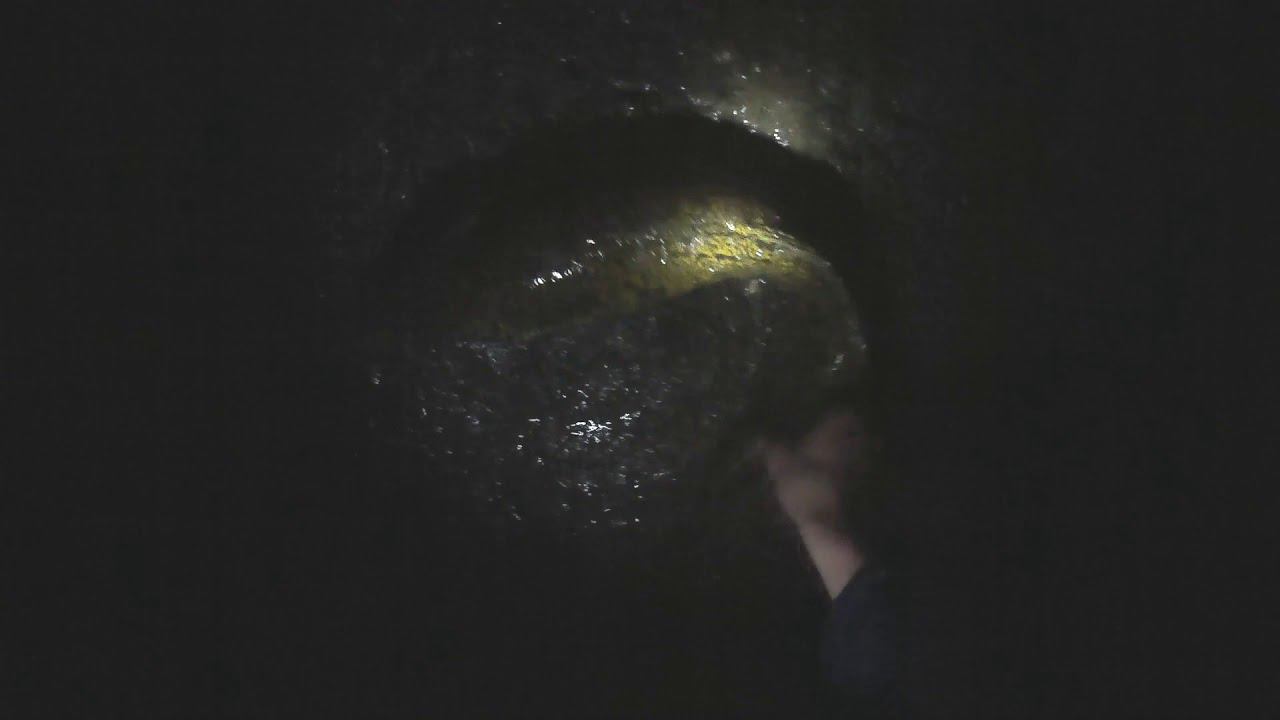 Крупный налим на фидер. Река Ока. Налим осенью смотреть онлайн