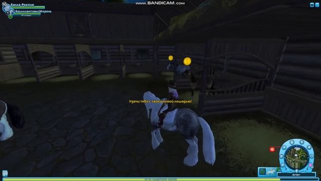 МЕГА ПОКУПКА 12 ЛОШАДЕЙ В СТАР СТЕЙБЛ ОНЛАЙН С КЛУБОМ!!! смотреть онлайн