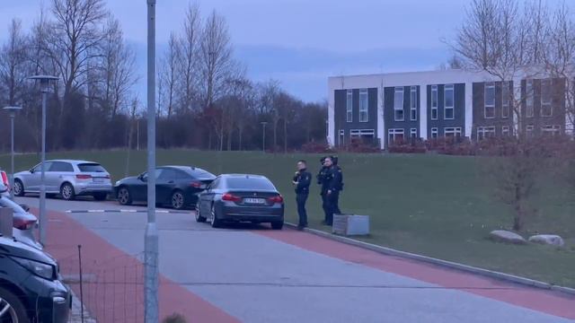 Massivt til stede med automatvåben og hunde смотреть онлайн