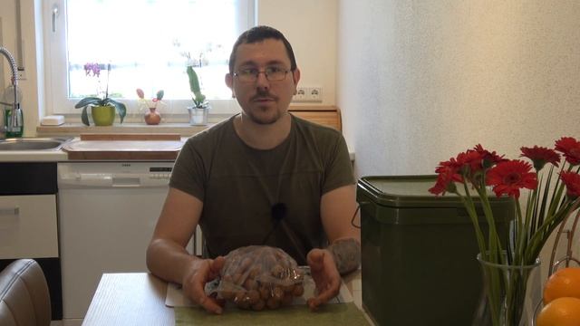 Рецепт от ПЛЕСЕНИ как сохранить долго бойлы смотреть онлайн