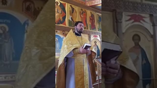 Пока ты сам святости не захочешь, святость стен тебя не спасёт смотреть онлайн