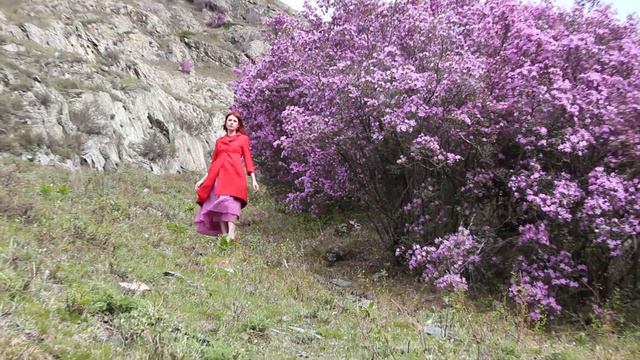 MVI 1982 смотреть онлайн