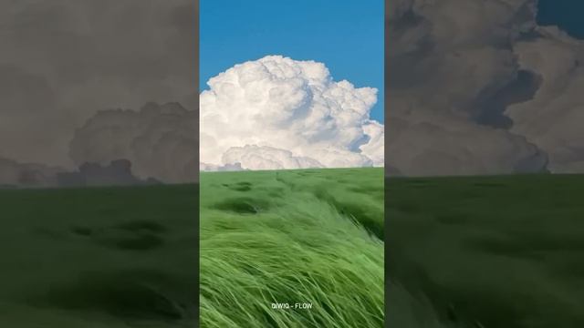 QiwiQ - Flow....Single available on all music platforms 🎧Look like anime 🍃#retrowave #synthwave смотреть онлайн