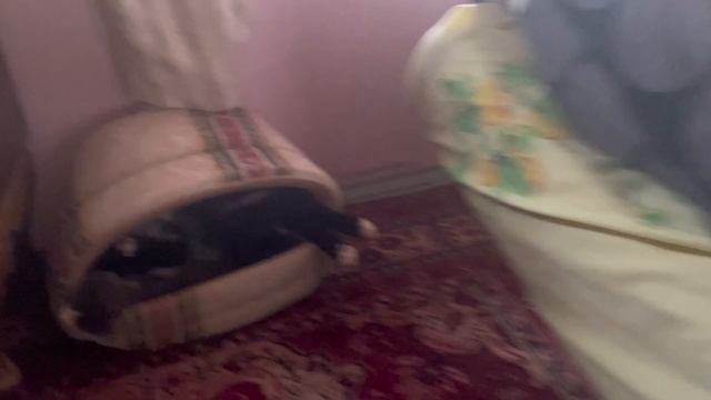 ВЛОГ: поездка в Тобольск / Время с семьей