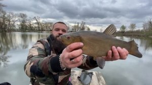 Как поймать линя на творог? Рыбалка на ЛИНЯ!