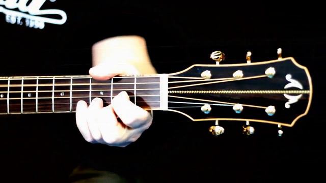 Best acoustiс guitar. Guitar Aria Meister MSG 05 смотреть онлайн