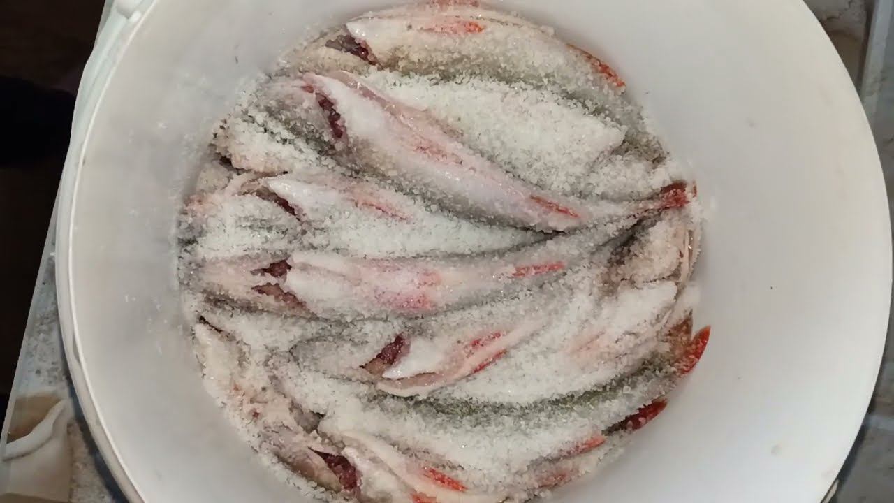 БЕЗ СЛОВ О РАЗНОМ