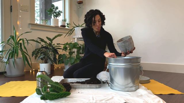 Plant Rescue! Saving my CRABBY Calathea! смотреть онлайн