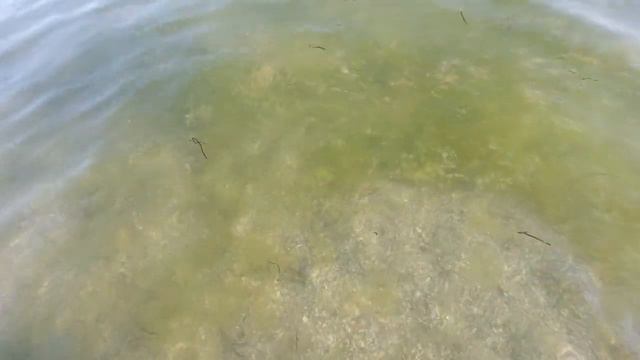 Какое зелёное море сегодня в Лазурном 10июля 2021год. смотреть онлайн