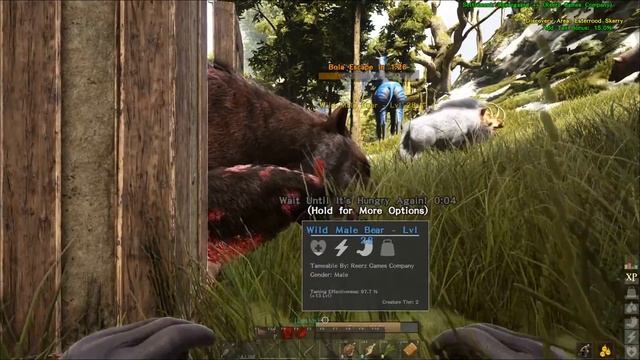 ЛУЧШЕЕ ЖИВОТНОЕ В АТЛАС! ПРИРУЧЕНИЕ МЕДВЕДЯ - ATLAS Новый сезон #8 смотреть онлайн