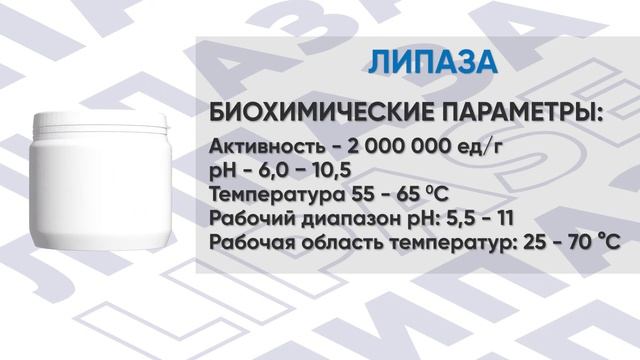 Липаза (Lipase) Фермент для расщепления и фракционирования жира (жиров)