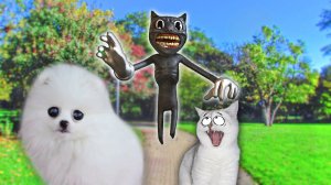 Кошечка Никиса ПРЕВРАТИЛАСЬ В КАРТУН КЭТА в РЕАЛЬНОЙ Жизни !!!  SCP ФОНД СПАС НАС!!!