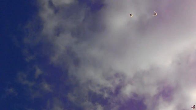 Сильный ветер смотреть онлайн