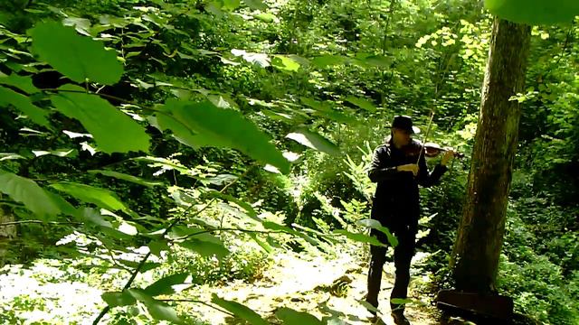Bach BWV 1001 Gminor Adagio and Fugue Dählenwald, Grenchen смотреть онлайн