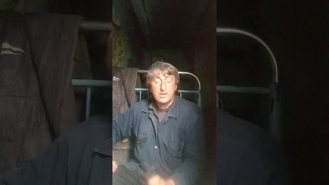 песня на стихи Сергея Есенина. зашумели над затоном тростники смотреть онлайн