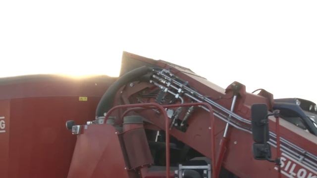 Передовой опыт выращивания и обработки кукурузы в хозяйствах Богородского района.