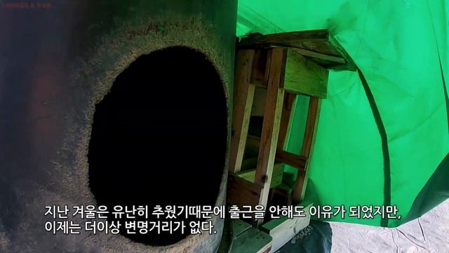 #317. 하늘은 푸르고, 농장은 평화롭다 #닭, #거위, #고양이 смотреть онлайн