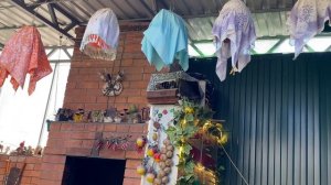 Дикий перепел/Бедана 07-09-2023