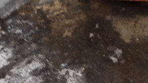 Дымность печи на отработке
