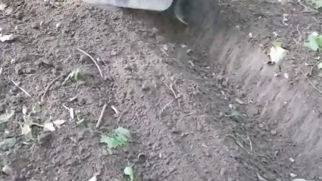 Электрический Культиватор Expert смотреть онлайн