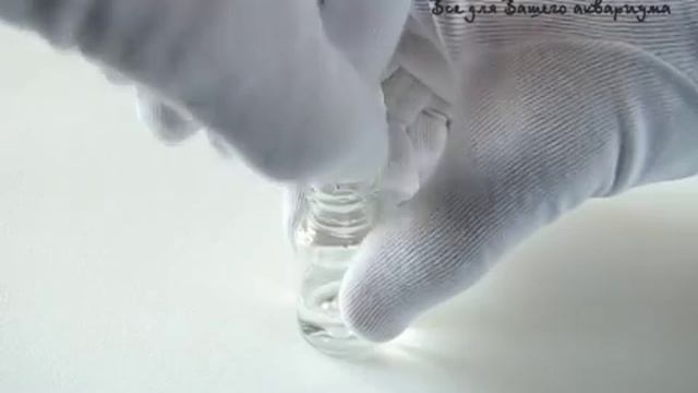 Ptero тест NH3\4 (аммиак и аммоний) смотреть онлайн