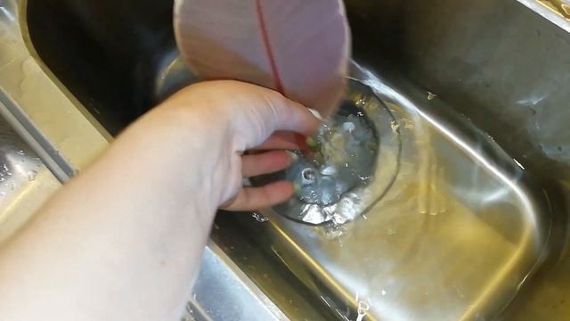 История одного фикуса. Видео 1. смотреть онлайн