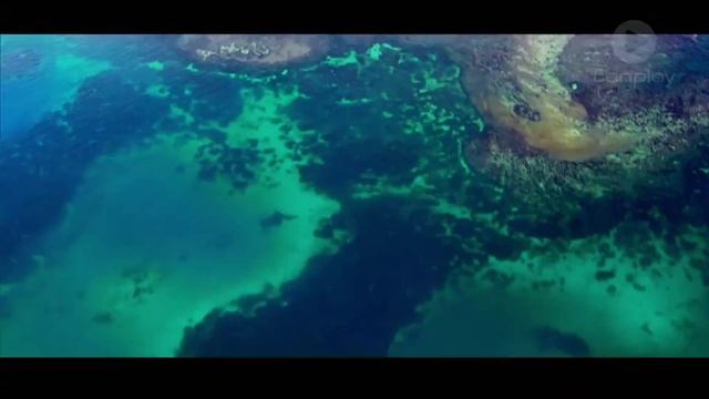 How Australian Survivor returned from the Edge of Extinction смотреть онлайн