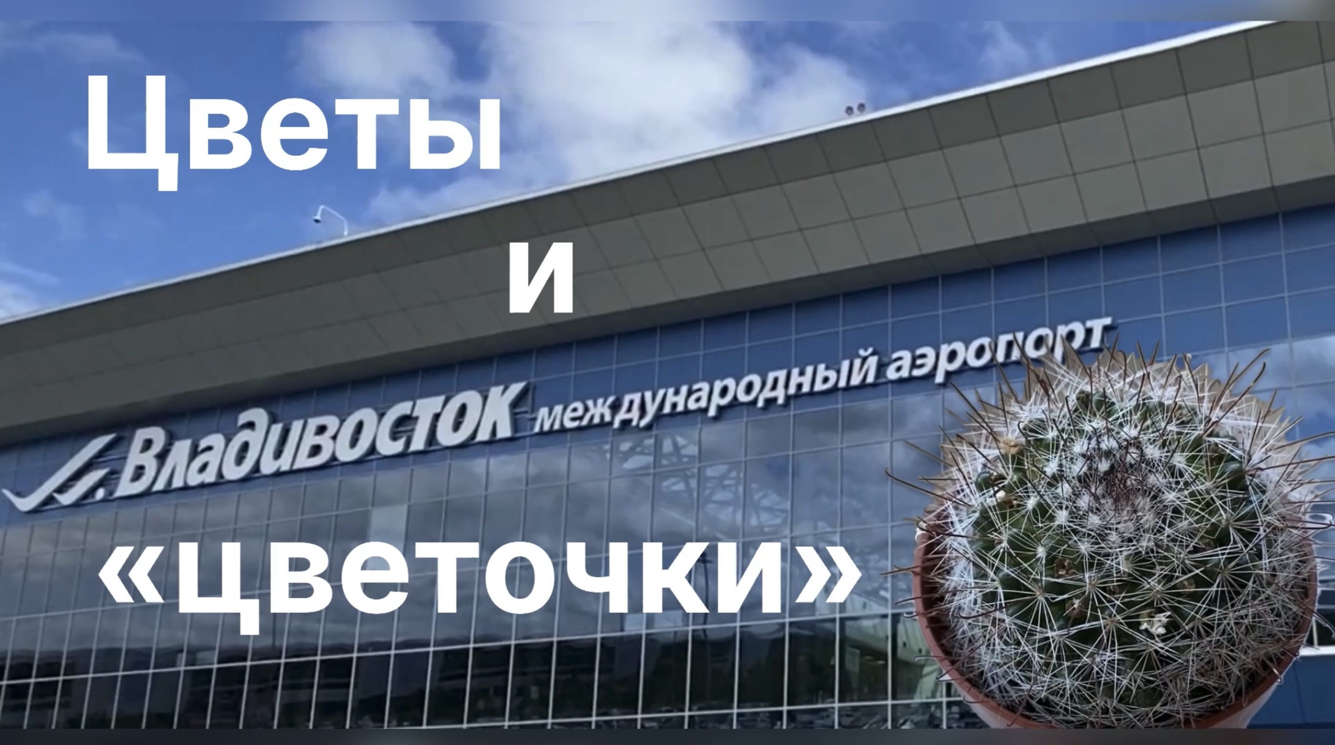 Другие мои цветы и «цветочки». 3 июня 2024 г. смотреть онлайн