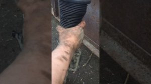 Замена пневмобаллона или снятие пневмостойки на 221 мерседесе