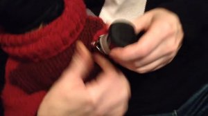 как надеть ботинки на собаку?