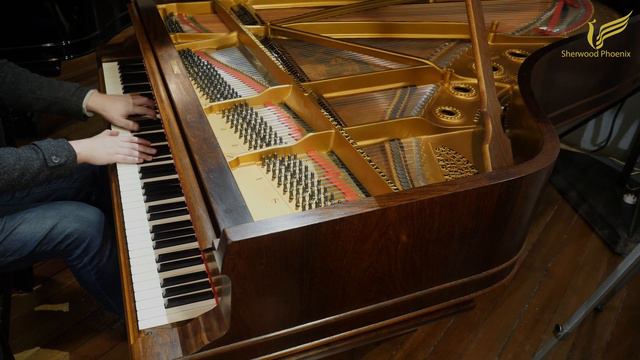 Steinway & Sons Model B Grand Piano at Sherwood Phoenix смотреть онлайн