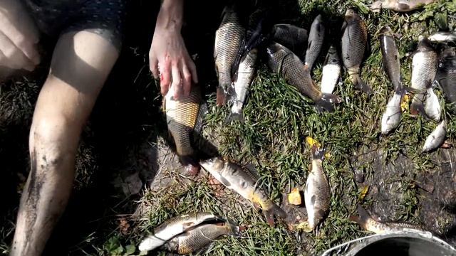 ловля рыбы руками 2 смотреть онлайн