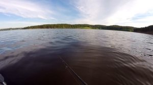 Ловля судака на Воткинском водохранилище