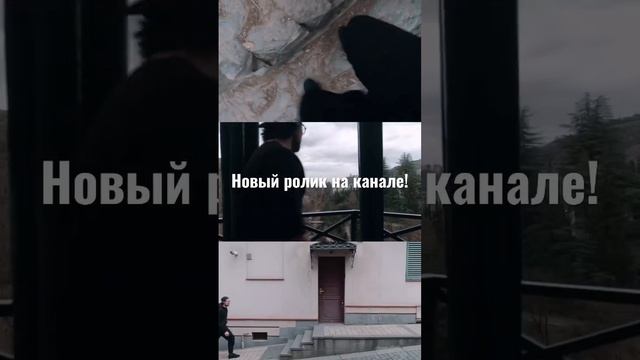 Съездили в Ботанический сад в Тбилиси. Спонтанно получилось видео про любовь к природе. #грузия смотреть онлайн