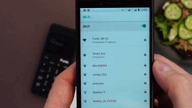 Обзор телефона Punkt MP 02