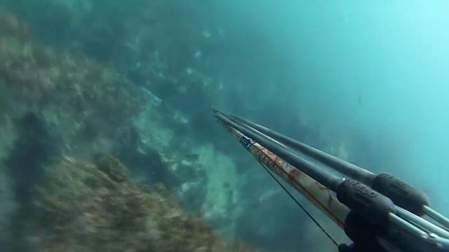 pesca submarina resumen de año 2013 смотреть онлайн