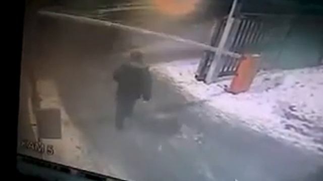 не показал пропуск и охрана приняла меры смотреть онлайн