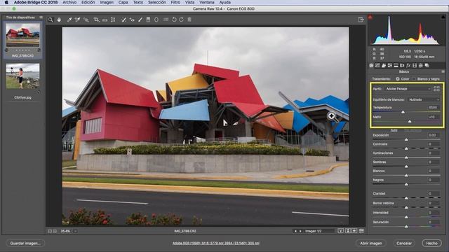 Photoshop. Camera Raw. Cómo corregir color con balance de blancos. liclonny смотреть онлайн