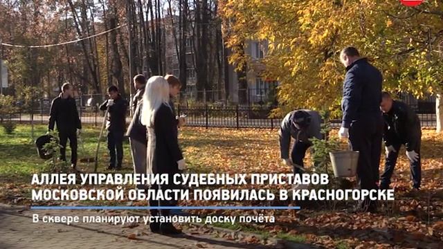 КРТВ. Аллея управления судебных приставов Московской области появилась в Красногорске смотреть онлайн