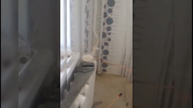 сантехника стяжка наливной пол шпаклёвка обои ламинат смотреть онлайн