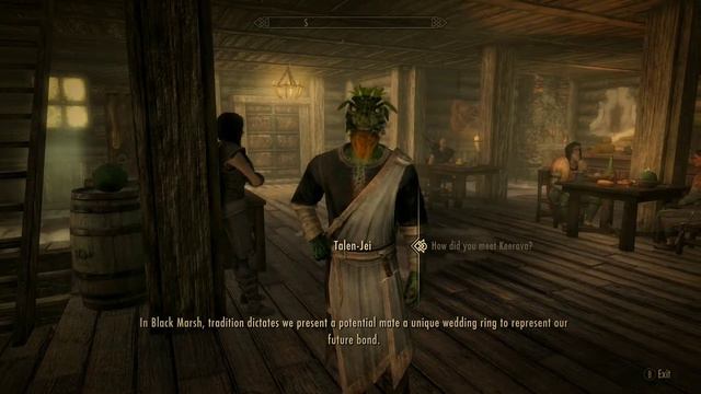 🌕 HUMANS OF SKYRIM: TALEN-JEI - Characters and Tales of Tamriel смотреть онлайн